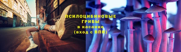 СК Липки