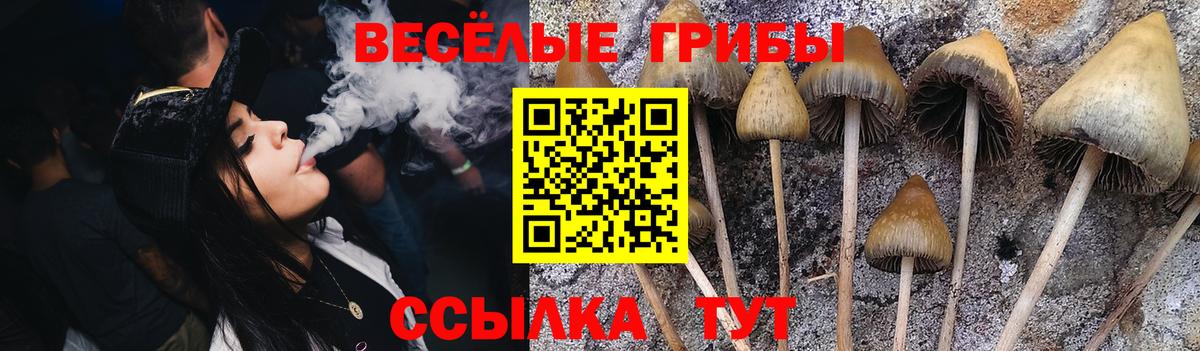 Галлюциногенные грибы Magic Shrooms Ангарск